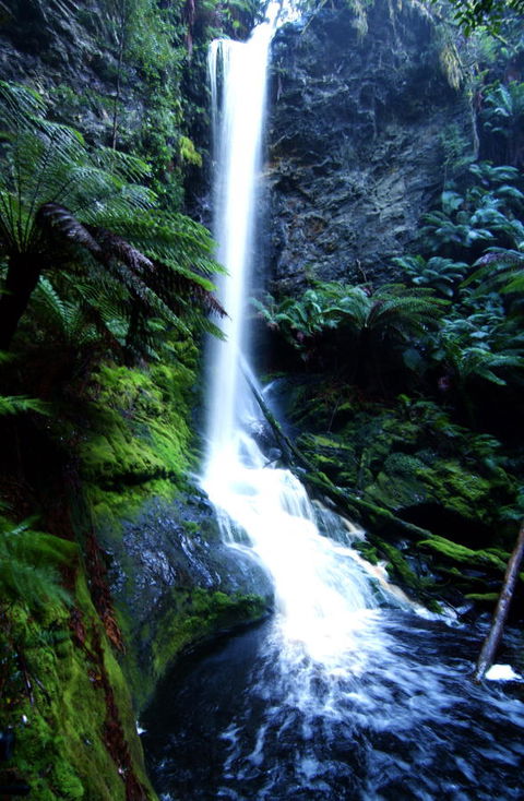Corinna Wilderness Village - Accommodation Mount Tamborine 40