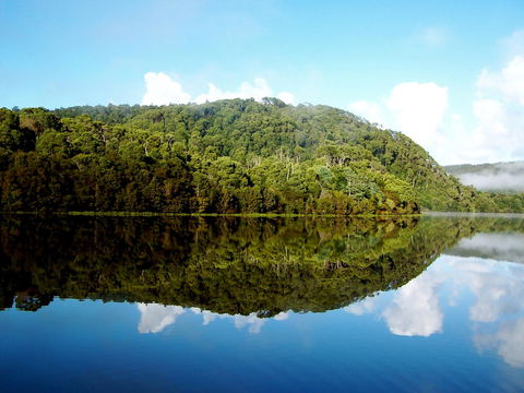 Corinna Wilderness Village - Accommodation Mount Tamborine 36