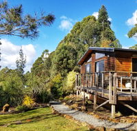 Southern Forest Accommodation - Accommodation Mount Tamborine