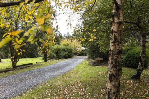 Cradle Forest Inn - Accommodation Mount Tamborine 36