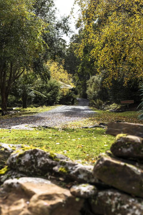 Cradle Forest Inn - Accommodation Mount Tamborine 34