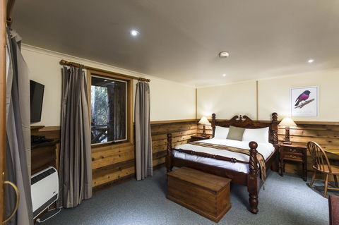 Cradle Forest Inn - Accommodation Mount Tamborine 21