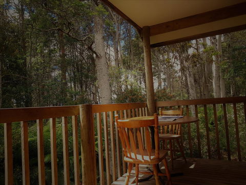 Cradle Forest Inn - Accommodation Mount Tamborine 2