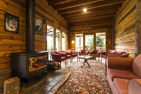Cradle Forest Inn - Accommodation Mount Tamborine 1