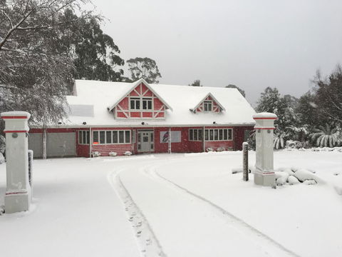 Cradle Forest Inn - Accommodation Mount Tamborine 0