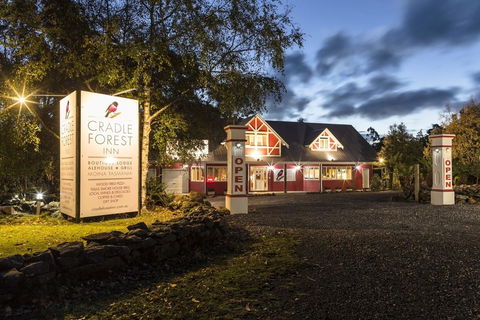 Cradle Forest Inn - Accommodation Mount Tamborine 33