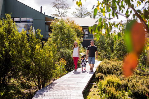 Cradle Mountain Hotel - Accommodation Mount Tamborine 23
