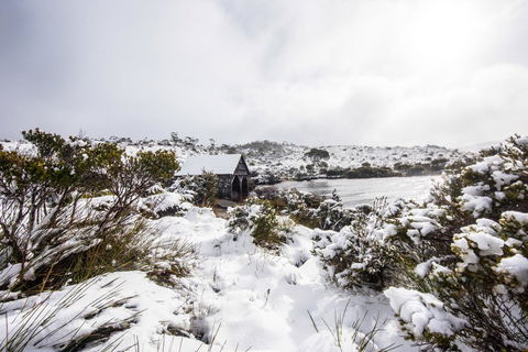 Cradle Mountain Hotel - Accommodation Mount Tamborine 38