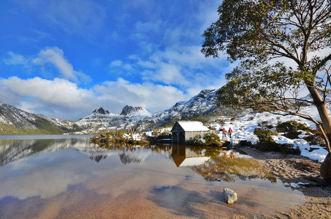 Cradle Mountain Hotel - Accommodation Mount Tamborine 3