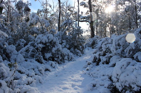 Cradle Mountain Hotel - Accommodation Mount Tamborine 4