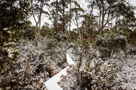 Cradle Mountain Hotel - Accommodation Mount Tamborine 6