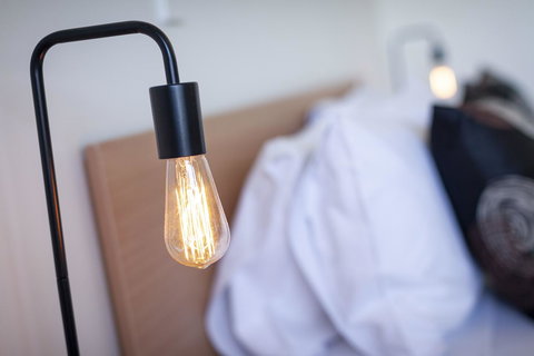 Black Buffalo - Accommodation Mount Tamborine 14