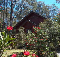 Cradle Mountain Highlanders - Accommodation Mount Tamborine