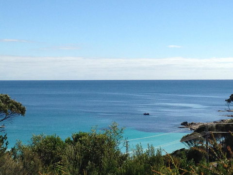 DOLPHIN LOOKOUT COTTAGE - Amazing Views Of The Bay Of Fires - Accommodation Mount Tamborine 12