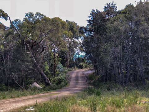 BAY OF FIRES ECO HUT Off Grid Experience At Binalong Bay - Accommodation Mount Tamborine 12