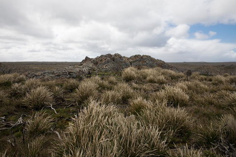 Arthur Riverfront And Sea Lodge Downstream - Accommodation Mount Tamborine 34