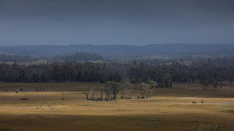 Arthur Riverfront And Sea Lodge Downstream - Accommodation Mount Tamborine 42