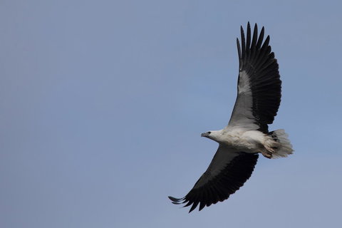 Arthur Riverfront And Sea Lodge Downstream - Accommodation Mount Tamborine 37