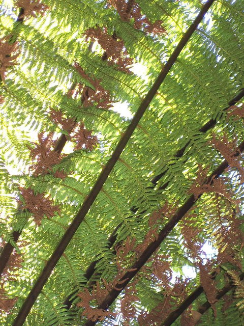 Arthur Riverfront And Sea Lodge Downstream - Accommodation Mount Tamborine 31