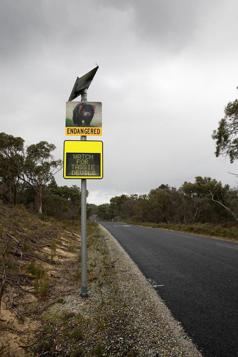 Arthur Riverfront And Sea Lodge Downstream - Accommodation Mount Tamborine 39