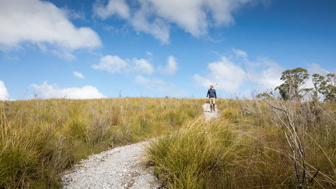 Arthur Riverfront And Sea Lodge Downstream - Accommodation Mount Tamborine 35