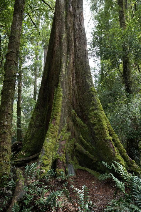 Arthur Riverfront And Sea Lodge Downstream - Accommodation Mount Tamborine 33