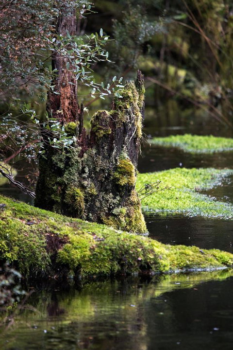 Arthur Riverfront And Sea Lodge Downstream - Accommodation Mount Tamborine 30