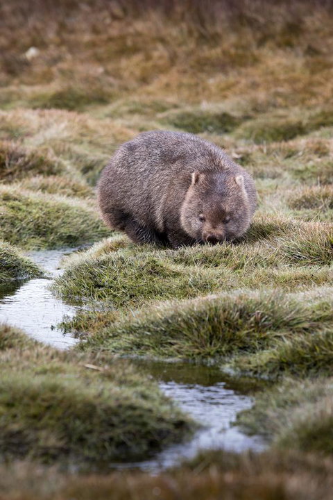 Arthur Riverfront And Sea Lodge Downstream - Accommodation Mount Tamborine 40