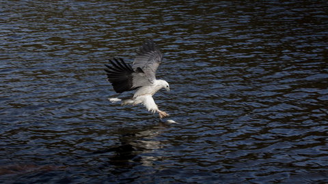 Arthur Riverfront And Sea Lodge Downstream - Accommodation Mount Tamborine 38