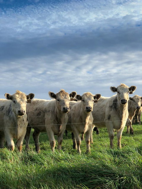 Arthur Riverfront And Sea Lodge Downstream - Accommodation Mount Tamborine 43