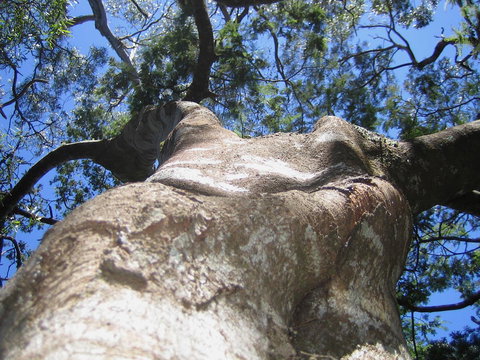 Arthur Riverfront And Sea Lodge Downstream - Accommodation Mount Tamborine 32