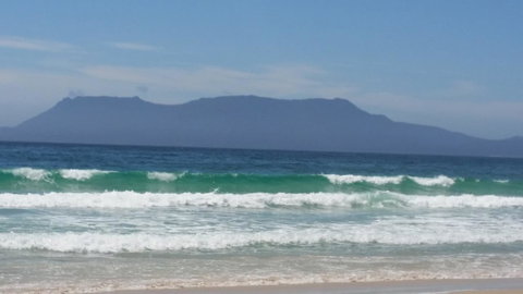 Beezneez B&B - Accommodation Mount Tamborine 17