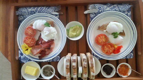 Beezneez B&B - Accommodation Mount Tamborine 11