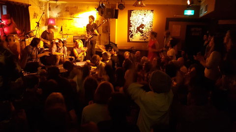 Little Nee's - Accommodation Mount Tamborine 7