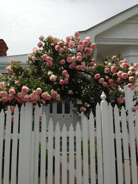 White Dove Cottage Bed And Breakfast - Accommodation Mount Tamborine 10