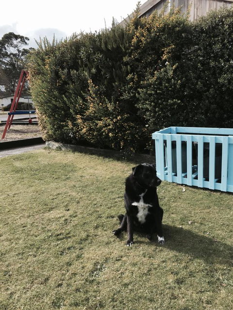 Strahan Beach Tourist Park - Accommodation Mount Tamborine 9