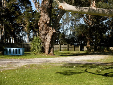 Strahan Beach Tourist Park - Accommodation Mount Tamborine 5