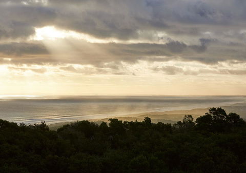 RACV Cape Schanck Resort - Accommodation Mount Tamborine 6