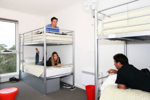 The Island Accommodation - Accommodation Mount Tamborine 2