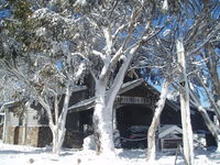 Book Dinner Plain Accommodation Vacations Accommodation Mount Tamborine Accommodation Mount Tamborine