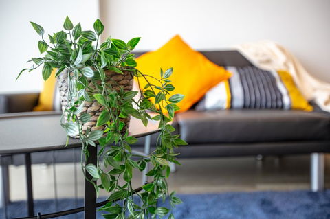 Brand New One/Two - Bed Room Apartment @ Maribyrnong - Accommodation Mount Tamborine 0