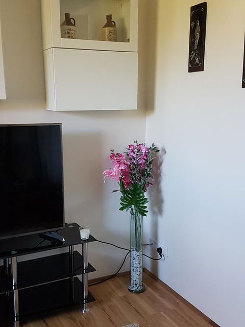 Romsey Homestay - Accommodation Mount Tamborine 8