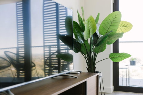 SSP GardenHill - Accommodation Mount Tamborine 12