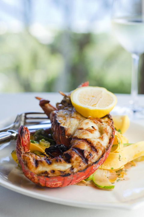 Chris\'s Beacon Point Restaurant & Villas - Accommodation Mount Tamborine 8