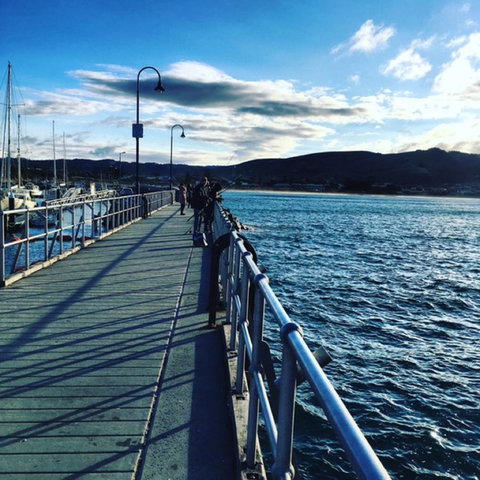 The Dolphin Apartments - Accommodation Mount Tamborine 16