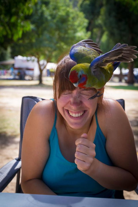 Halls Gap Lakeside Tourist Park - Accommodation Mount Tamborine 5