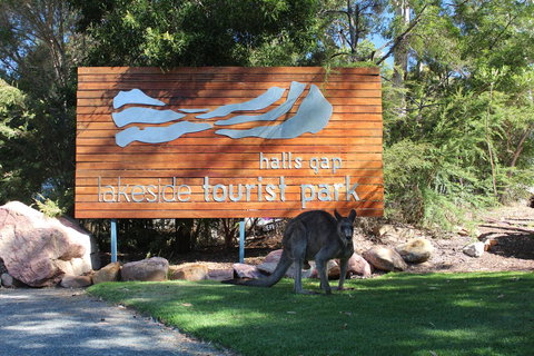 Halls Gap Lakeside Tourist Park - Accommodation Mount Tamborine 3