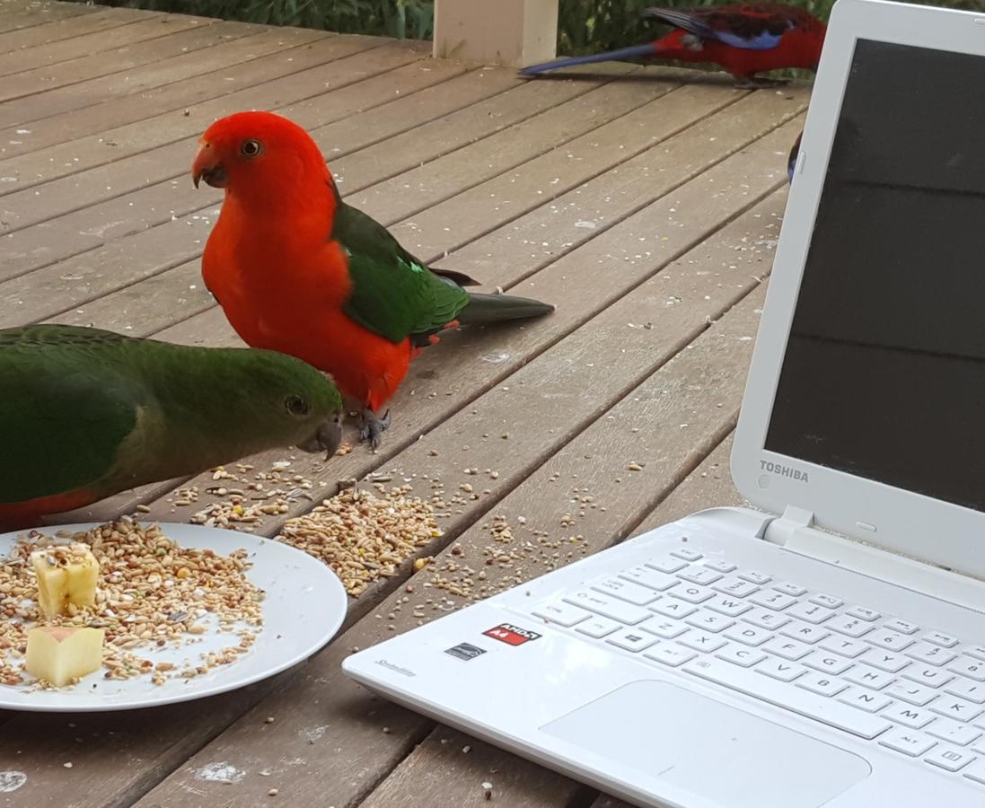 Accommodation Mount Tamborine