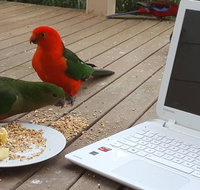 Wilsons Promontory Motel - Accommodation Mount Tamborine