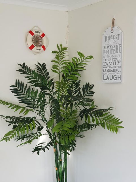 Dromana Holiday Beach House - Accommodation Mount Tamborine 4